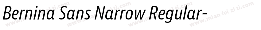 Bernina Sans Narrow Regular字体转换